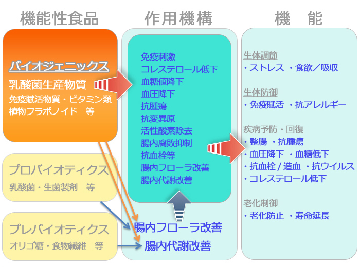 バイオジェニックス食品,健康,作用