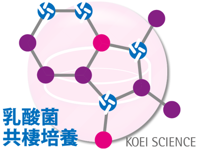 共棲培養とは？