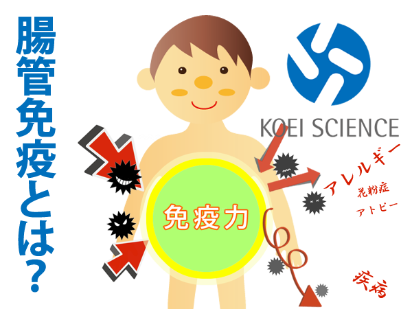 腸管免疫とは?