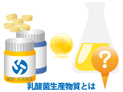 乳酸菌生産物質とは