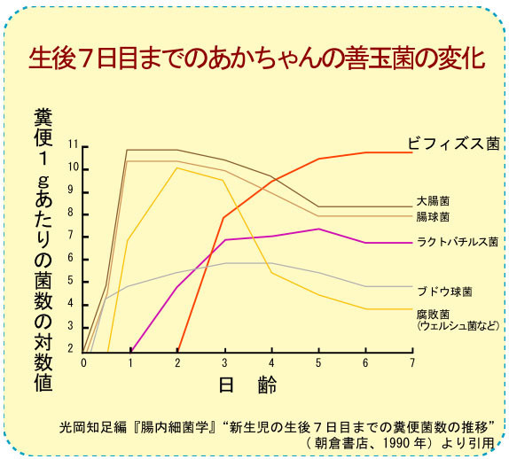 赤ちゃん,善玉菌,変化