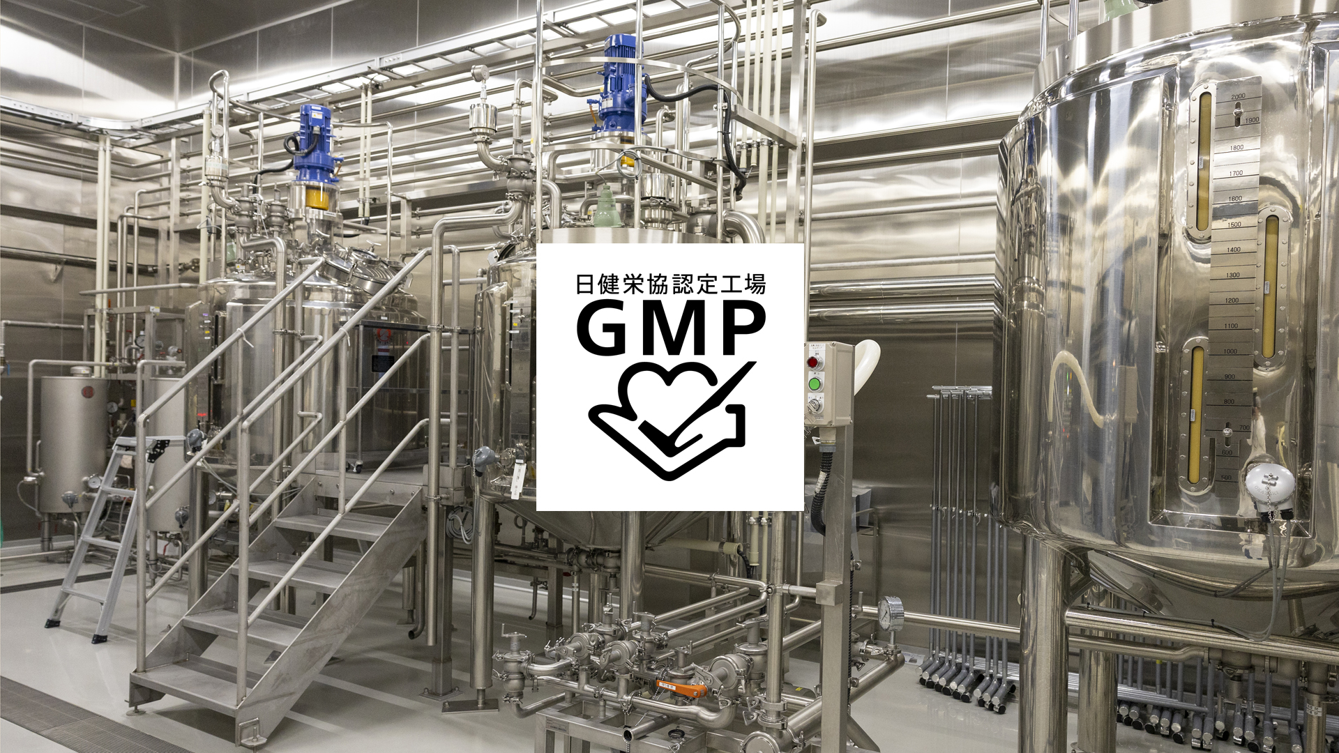 乳酸菌生産物質,工場,GMP