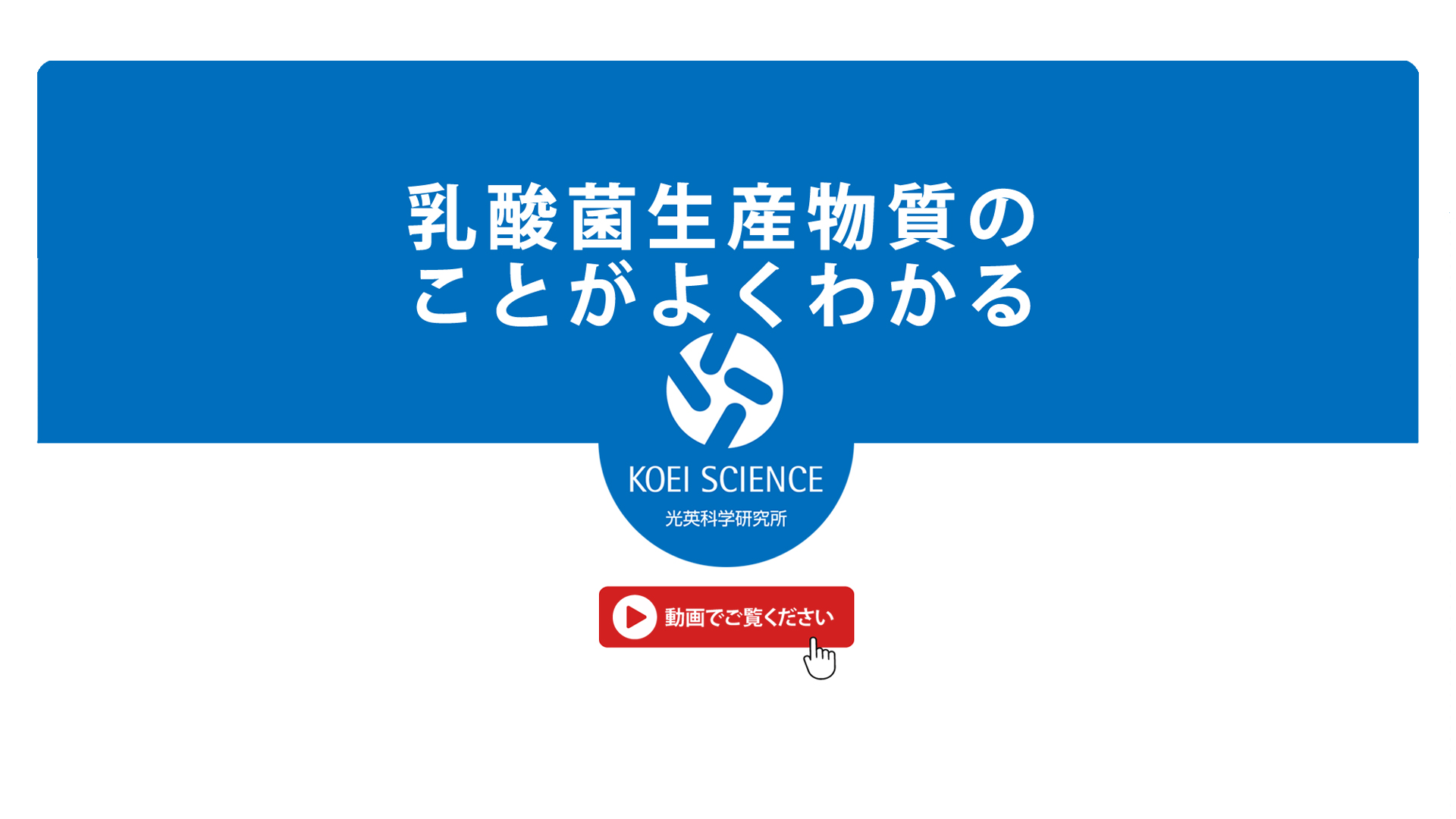 乳酸菌生産物質のことがよくわかる動画