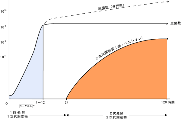細菌の増殖曲線